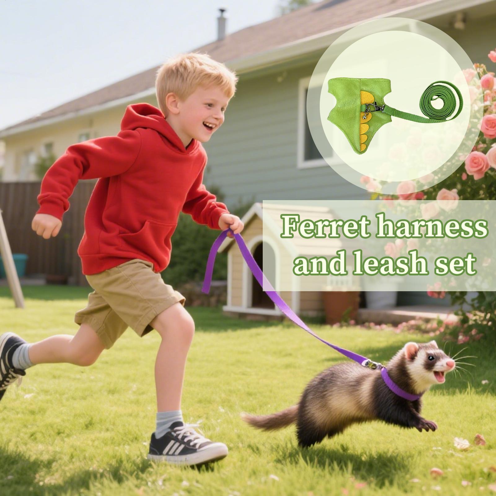 Adjustable Small Pets Harness  - Outdoor Adventure Walks 리뷰 및 가격