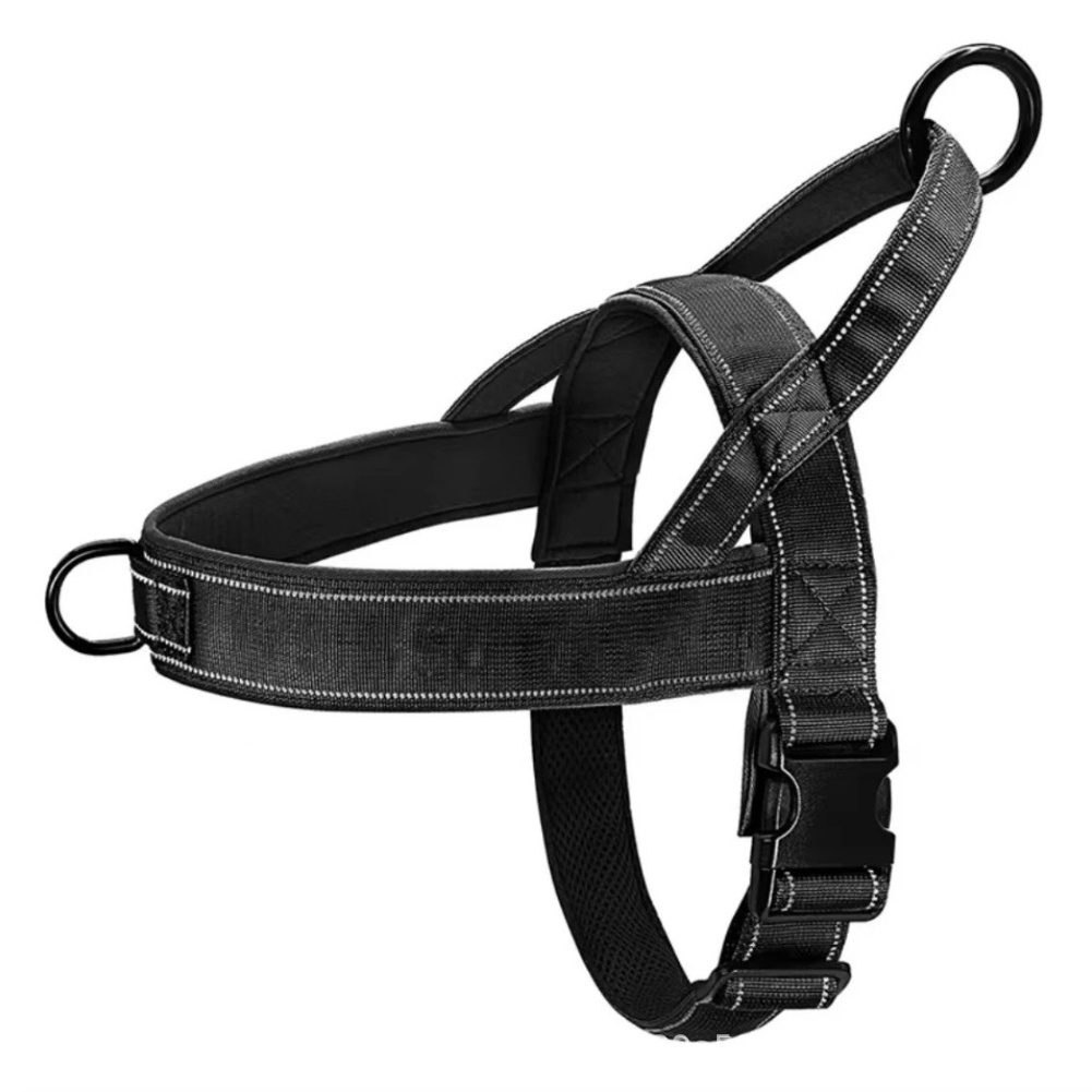 Quick Release Buckle No Pull H - Outdoor Adventure Walks 리뷰 및 가격