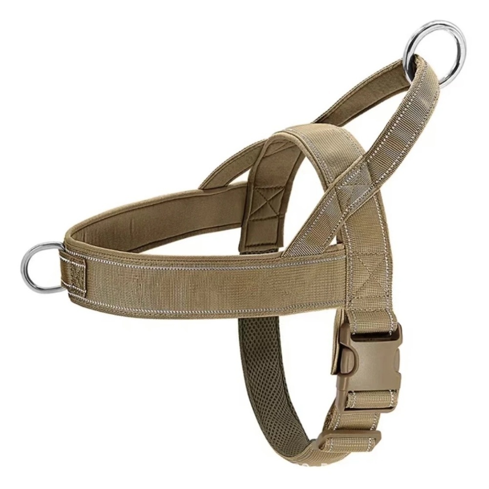Quick Release Buckle No Pull H - Outdoor Adventure Walks 리뷰 및 가격