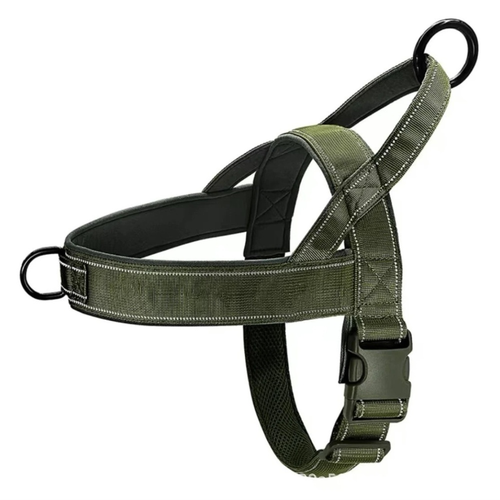 Quick Release Buckle No Pull H - Outdoor Adventure Walks 리뷰 및 가격
