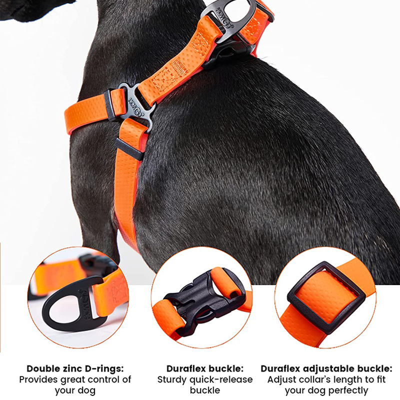 Adjustable Dog Harness No Pull - Outdoor Adventure Walks 리뷰 및 가격