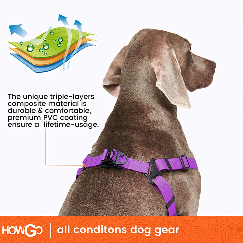 Adjustable Dog Harness No Pull - Outdoor Adventure Walks 리뷰 및 가격