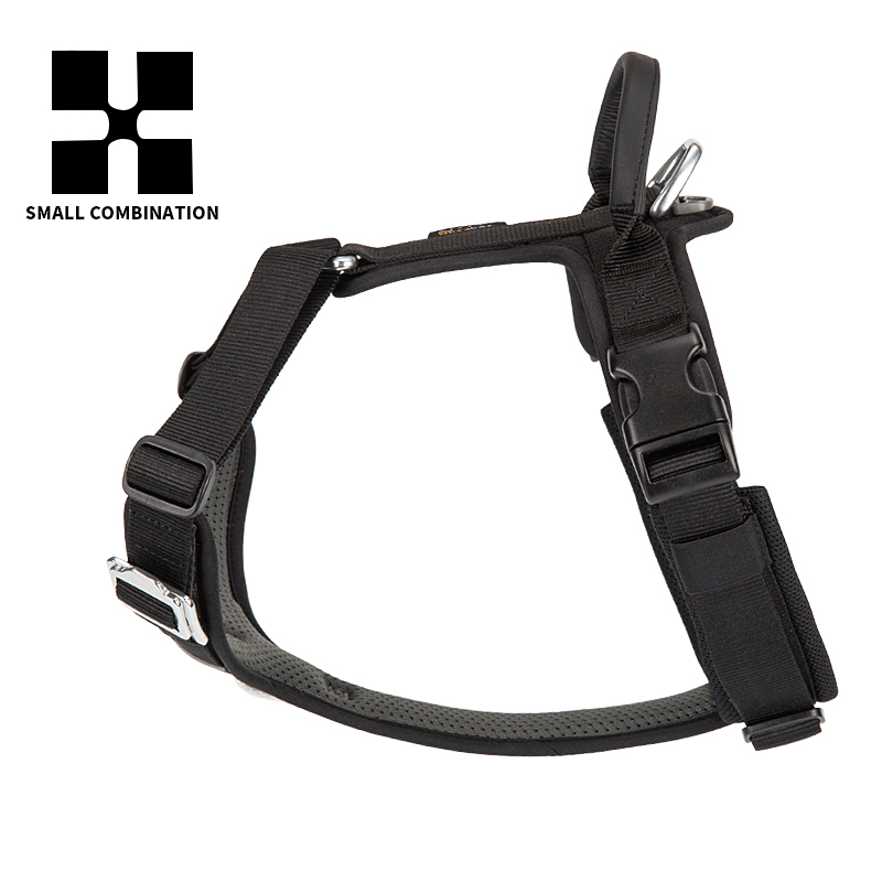 Adjustable Explosion-proof  on - Outdoor Adventure Walks 리뷰 및 가격