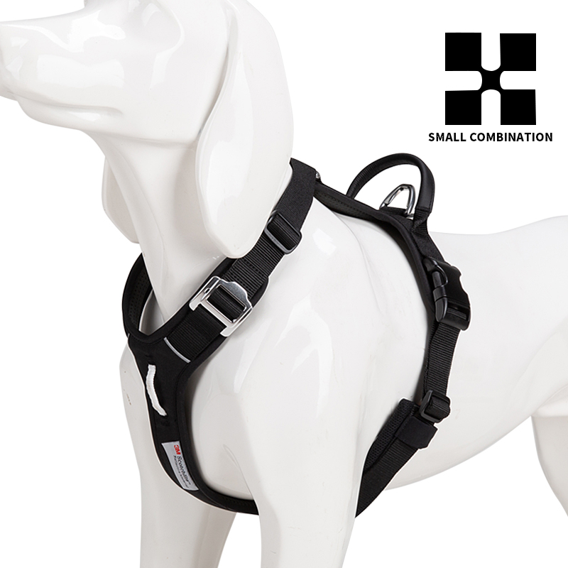 Adjustable Explosion-proof  on - Outdoor Adventure Walks 리뷰 및 가격