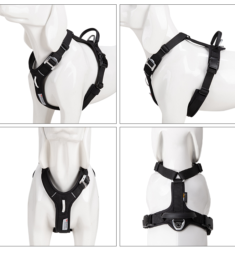 Adjustable Explosion-proof  on - Outdoor Adventure Walks 리뷰 및 가격